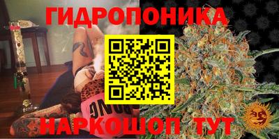 наркотики Пугачёв