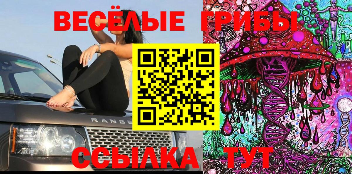 Псилоцибиновые грибы мухоморы  Вход с VPN  Солнечногорск 
