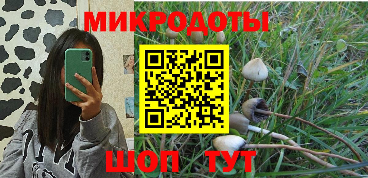 Псилоцибиновые грибы MAGIC MUSHROOMS Солнечногорск